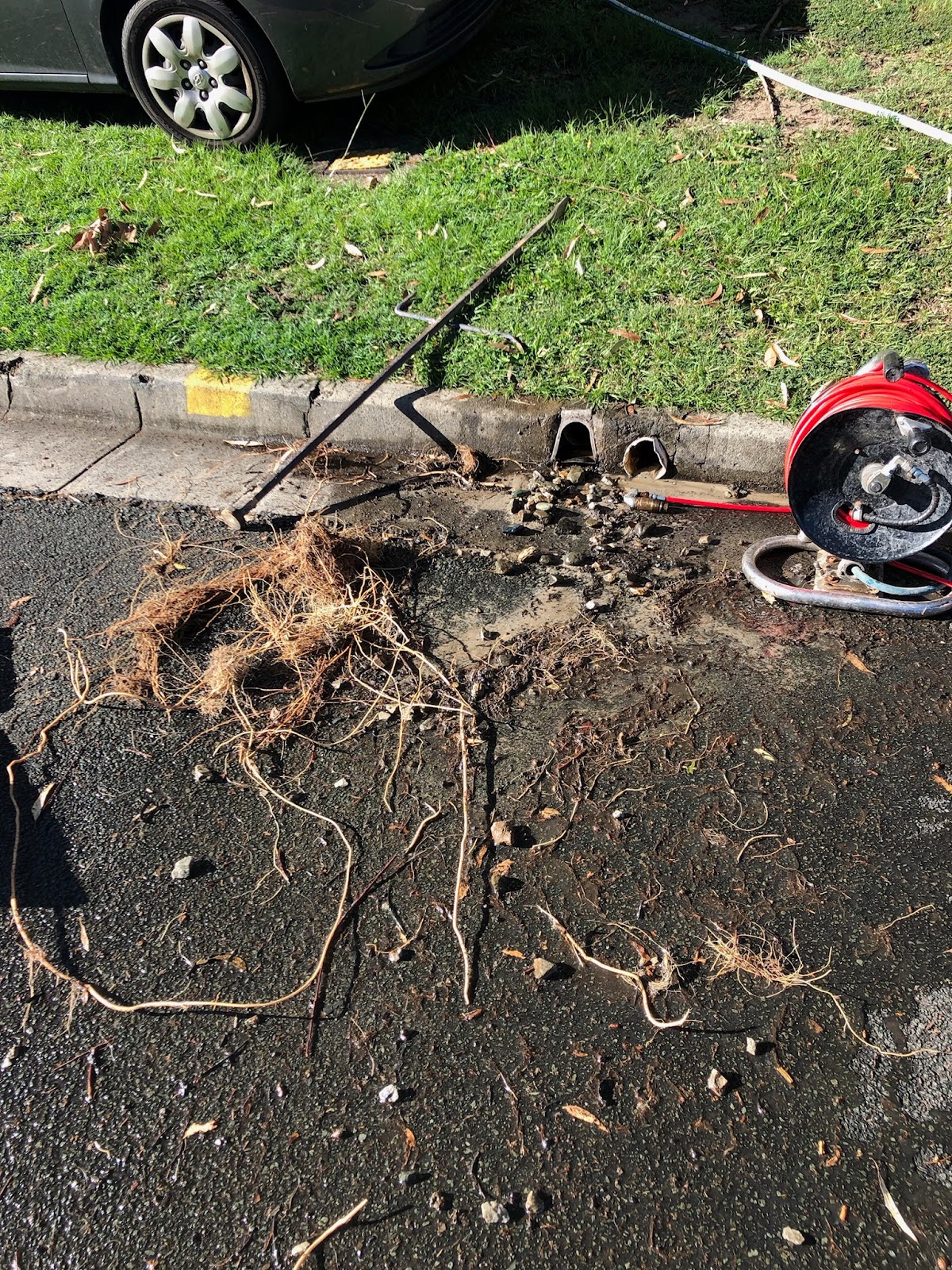 Tree roots pulled from a kerbside drain beside a drain jetter hose reel